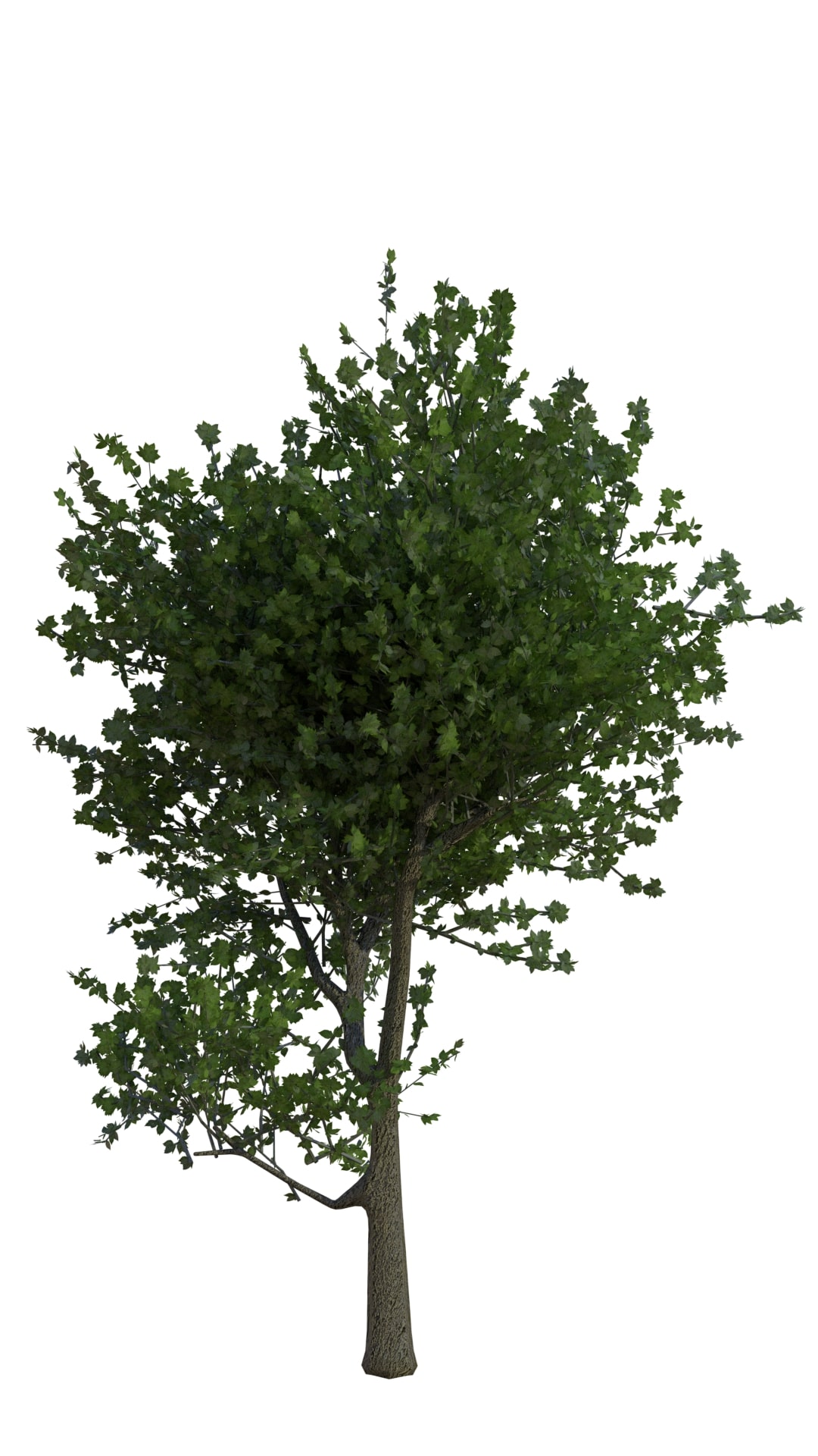 fig 13: Abre 2